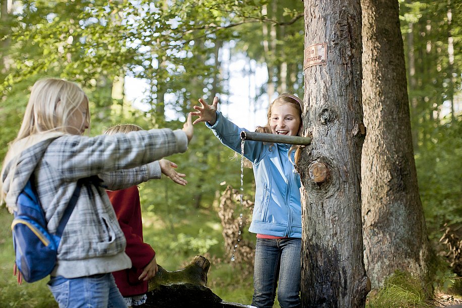 Wandern mit Kindern im Wald