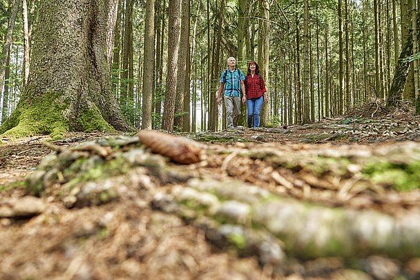 Naturpark Augsburg - Westliche Wälder, Bonstetten