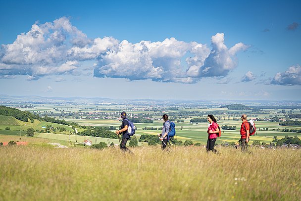 Ries-Panoramaweg, bei Huisheim