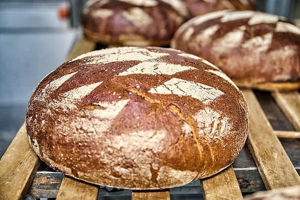 Himmelbäck Lauingen - Handwerkskunst - Brot