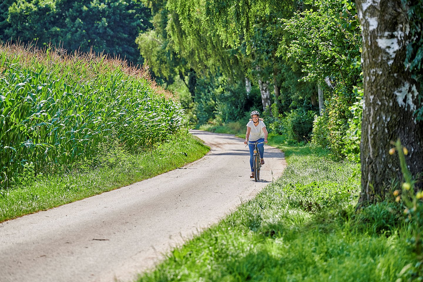 Naturpark Augsburg - Westliche Wälder, Radfahren Ustersbach