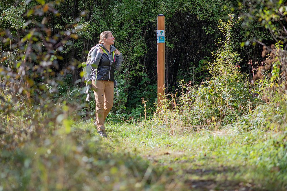 DonAUwald Premiumwanderweg