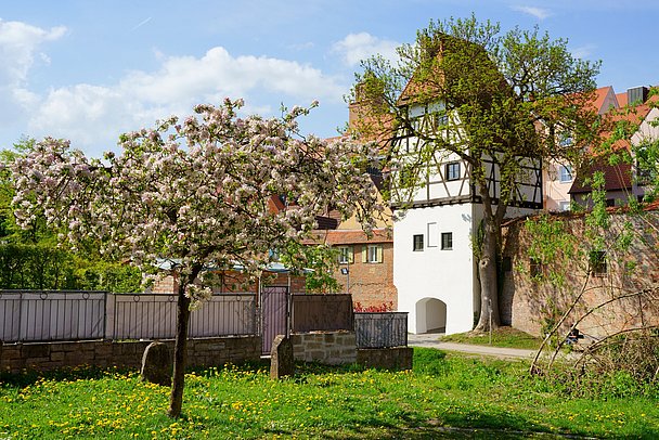 Donauwörth, Färberturm