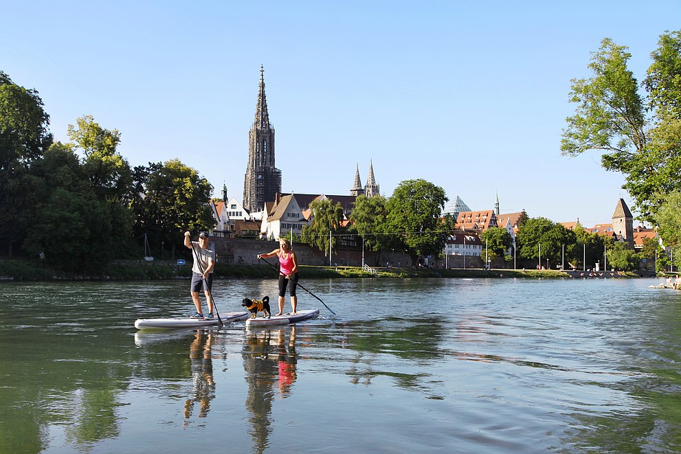 SUP auf der Donau bei Ulm / Neu-Ulm