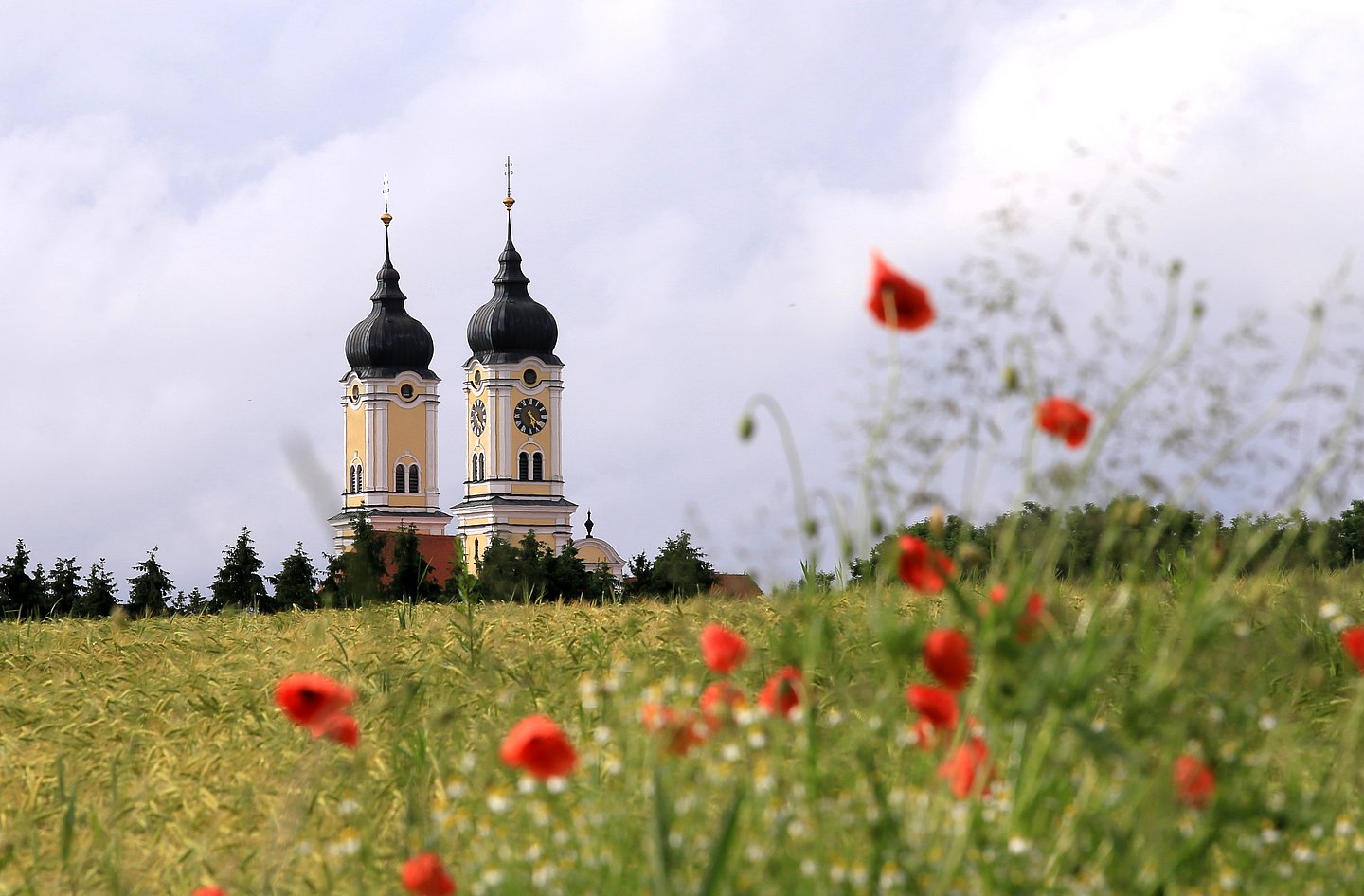 Kloster Roggenburg, Türme