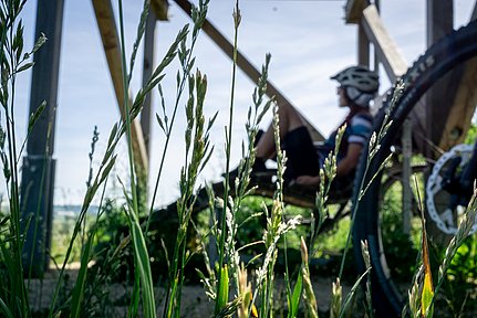 Radtour im Dillinger Land - Naturbeobachtunsturm Dattenhauser Ried