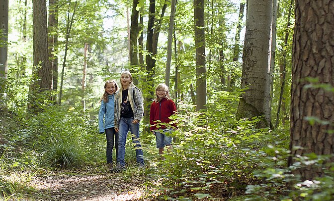 Wandern mit Kindern im Wald