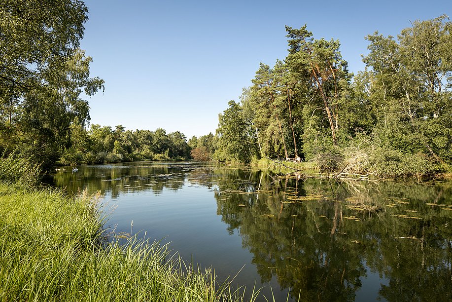 DonAUwald, Topfletseen