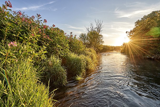 Natur erleben im Wittelsbacher Land