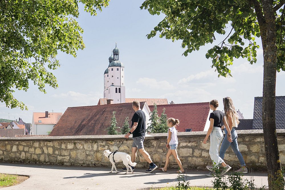 Stadtmauer Wemding