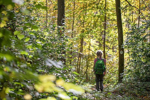 DonAUwald Premiumwanderweg