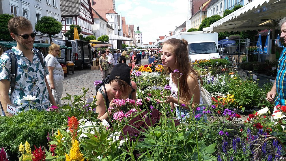 Wochenmarkt auf dem Günzburger Marktplatz