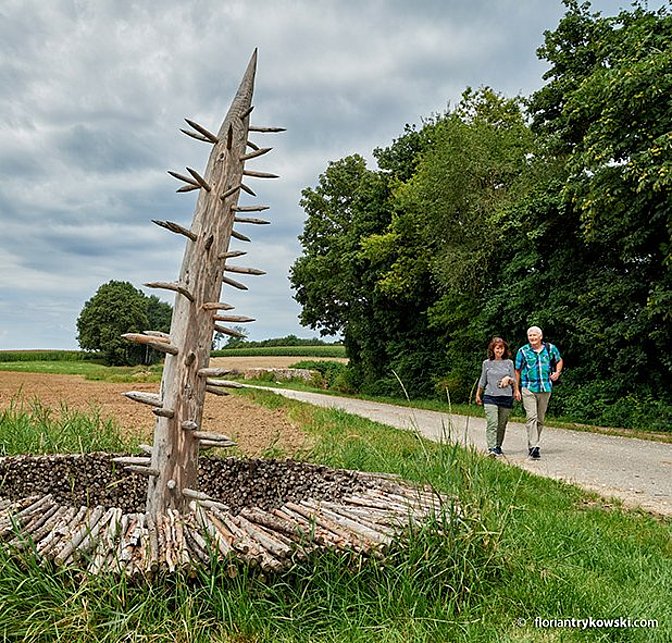 Lauschoutr LandArt-Pfad Bonstetten