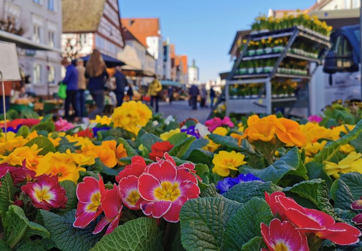 Günzburger Wochenmarkt