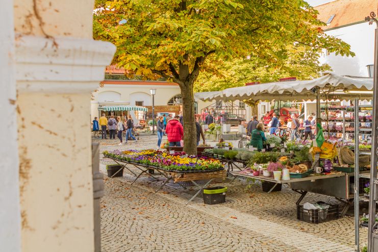 Günzburger Bauernmarkt