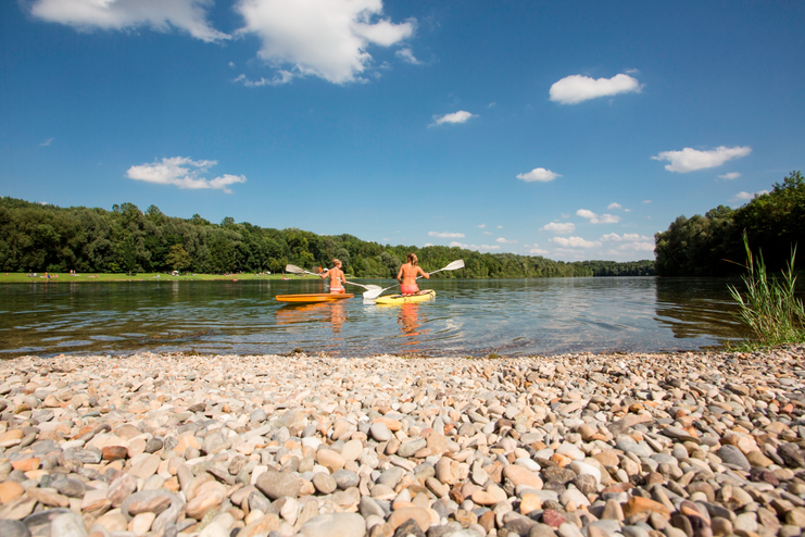 Auwaldsee Lauingen