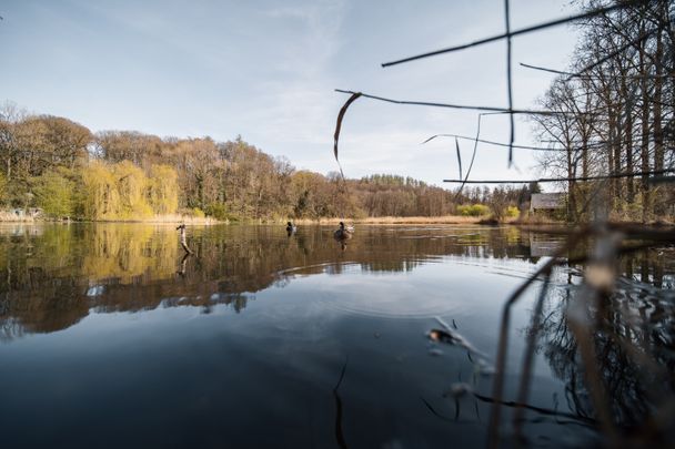 Nordholzer Weiher