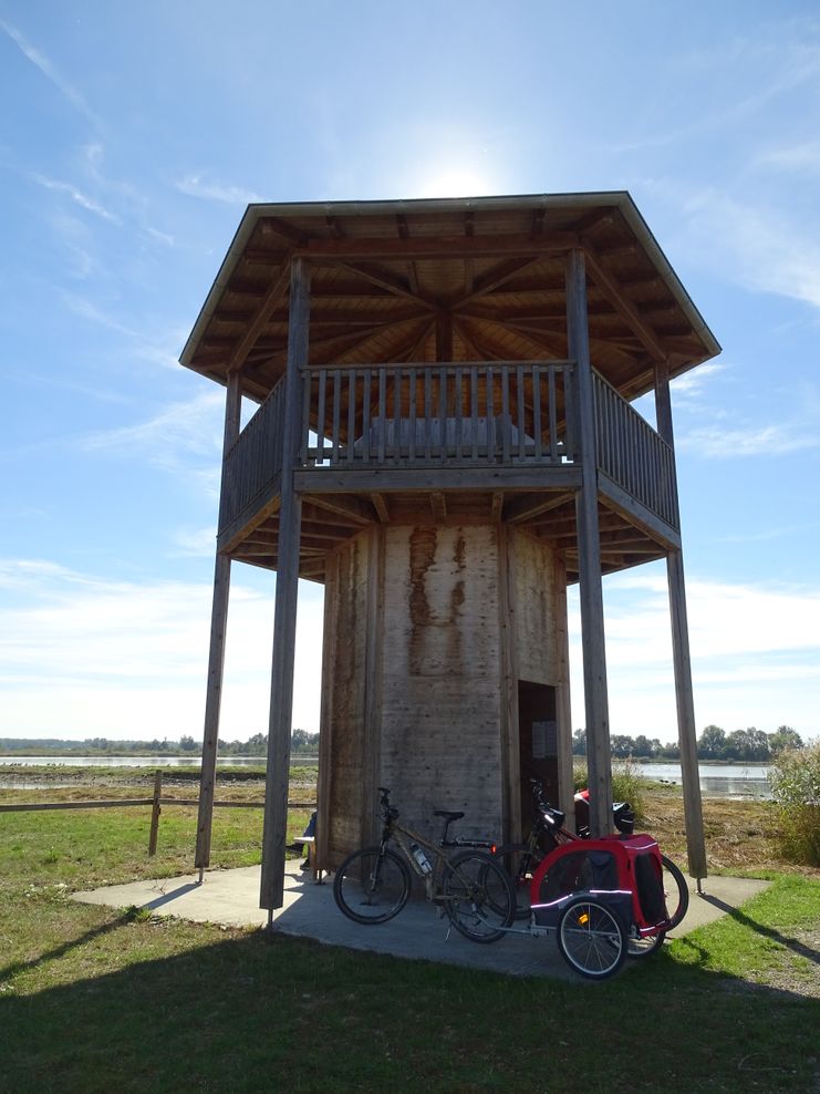 Aussichtsturm Mooswaldseen