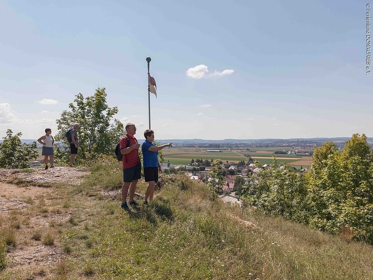 Wallersteiner Felsen