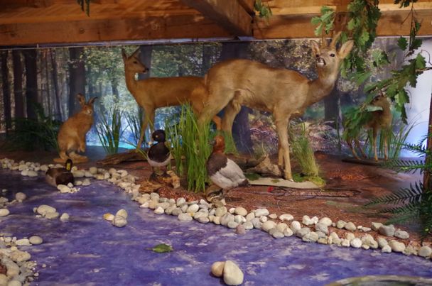 Naturparkhaus Ausstellung