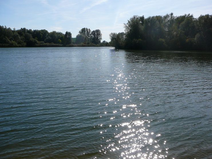 Vollmer See