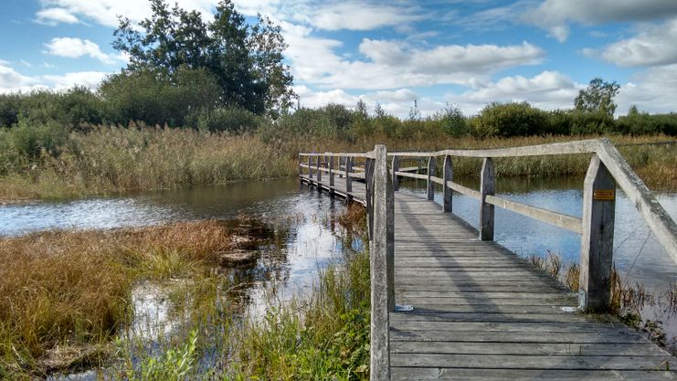 Bohlenweg im Donaumoos