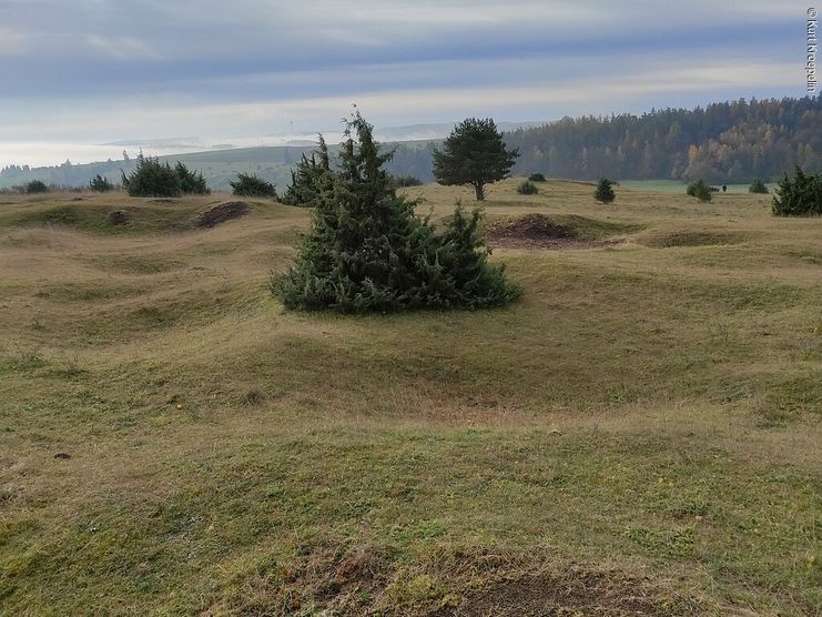 Wacholderheiden im Herbst und die Schlacht von 1634