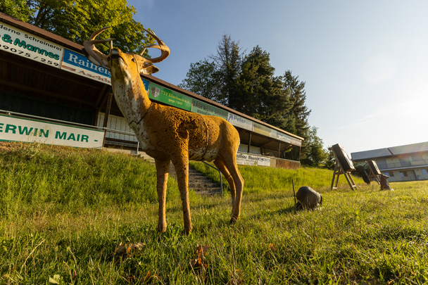 Bow-Targets Parcours Ellerbach