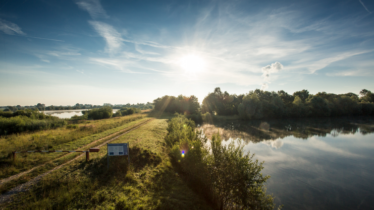 Fetzersee im Gundelfinger Moos