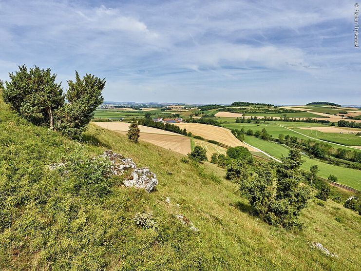 Rollenberg