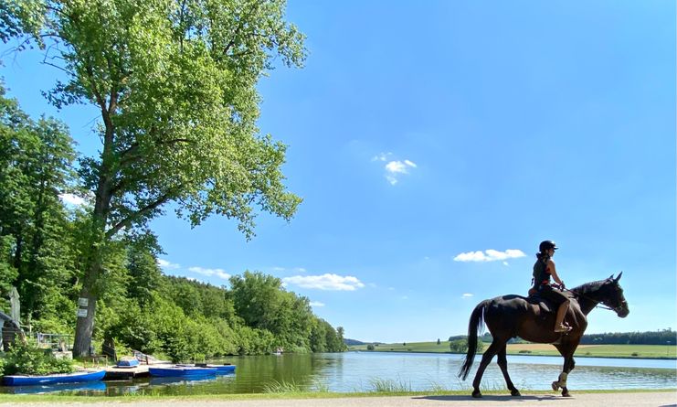 Roggenburger Weiher mit Reiter