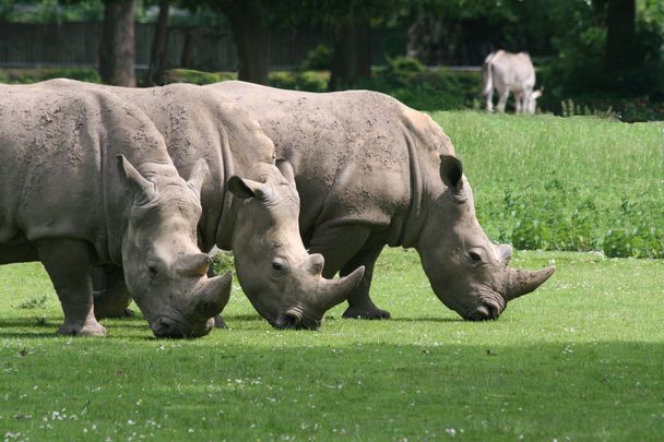 Zoo Augsburg