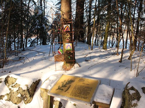 9690191_waldpark-huisheim-infotafel-mit-kunst.jpg