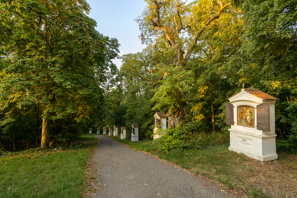 Kreuzweg bei St. Michael Fronhofen