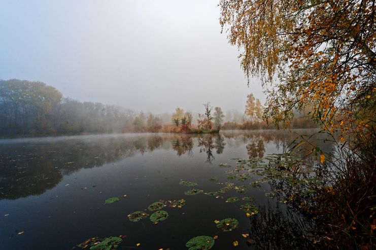 Vollmondwanderung im Auwald