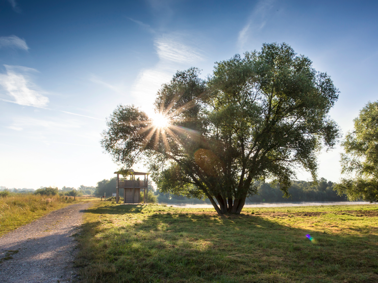 Beobachtungsturm Sophienried