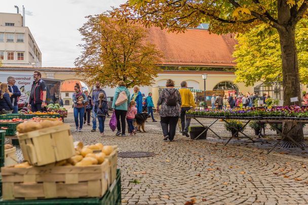 Günzburger Bauernmarkt