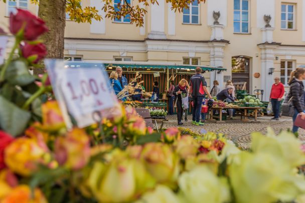 Günzburger Bauernmarkt