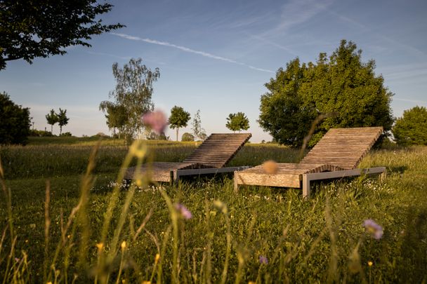 Wiley Park Neu-Ulm