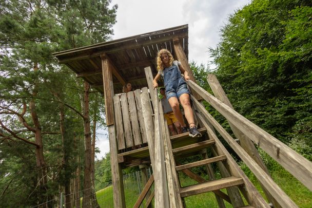 Aussichtsturm Wildtiergehege