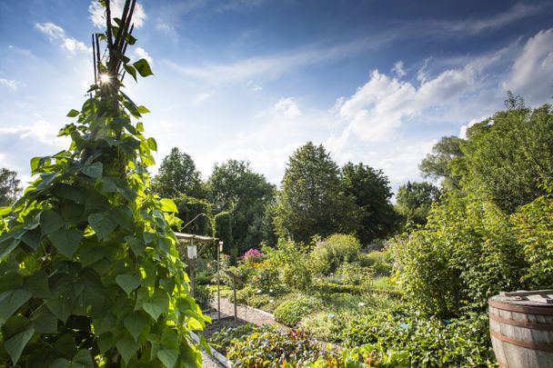 #Fouad-Vollmer_Weißenhorn_Kreismustergarten Gemüsegarten_CC-BY-SA.jpg