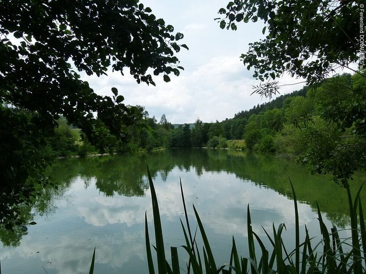 Angelgewässer Röhrbachsee