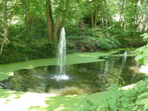 7538175_springbrunnen-im-hofgarten-oettingen.jpg