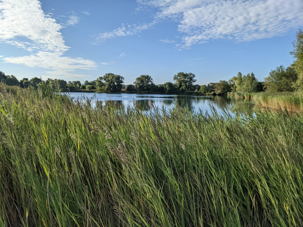 Wagerseen bei Weisingen