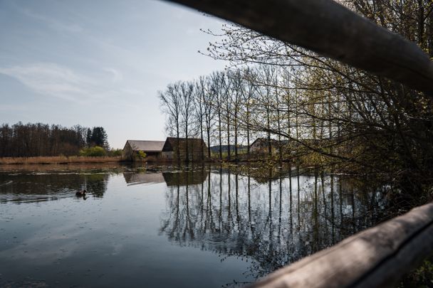 Nordholzer Weiher im Markt Buch